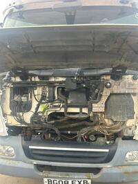 DAF LF